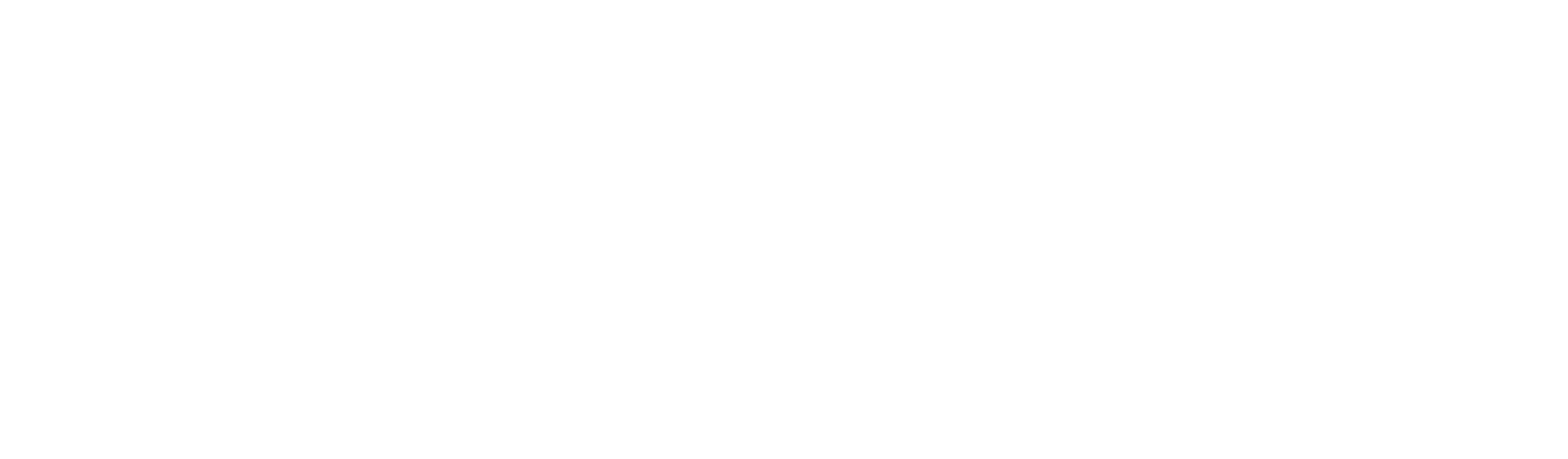 Fann Salon